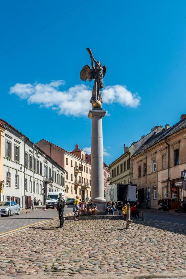 Апартаменты Angel House Vilnius 40 Экстерьер фото